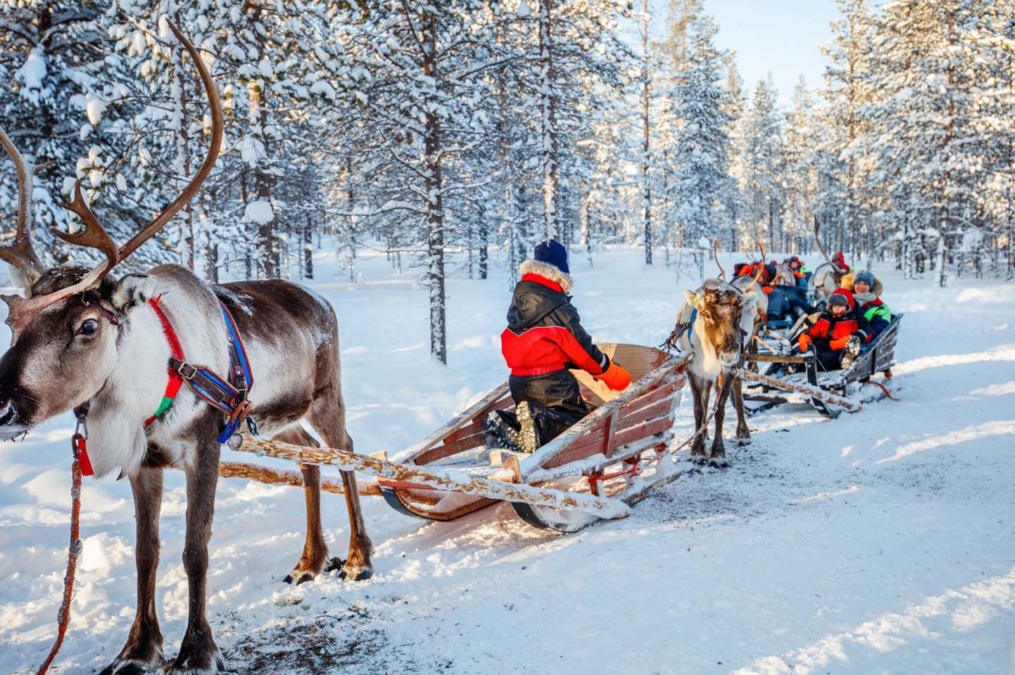 De Ultieme Reisgids voor Finland: Wat te Zien en te Doen